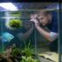 4 Best Aquarium Water Conditioners: Voted By 170 Fish Keepers