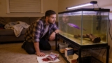 Dragon Fish Goby Care 101 (aka Violet Goby)