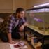 Assassin Snail Secrets: Care, Breeding, Lifespan
