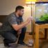 Black Neon Tetra Care: Diet, Breeding, Lifespan  More