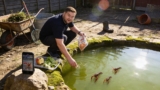Crayfish Menu Revealed: Wild and Tank Diets