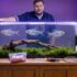 Discus Tank Mates: Who Do You Pair With the King? 