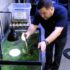15 Genius Aquarium Hacks to Simplify Your Fishkeeping Life